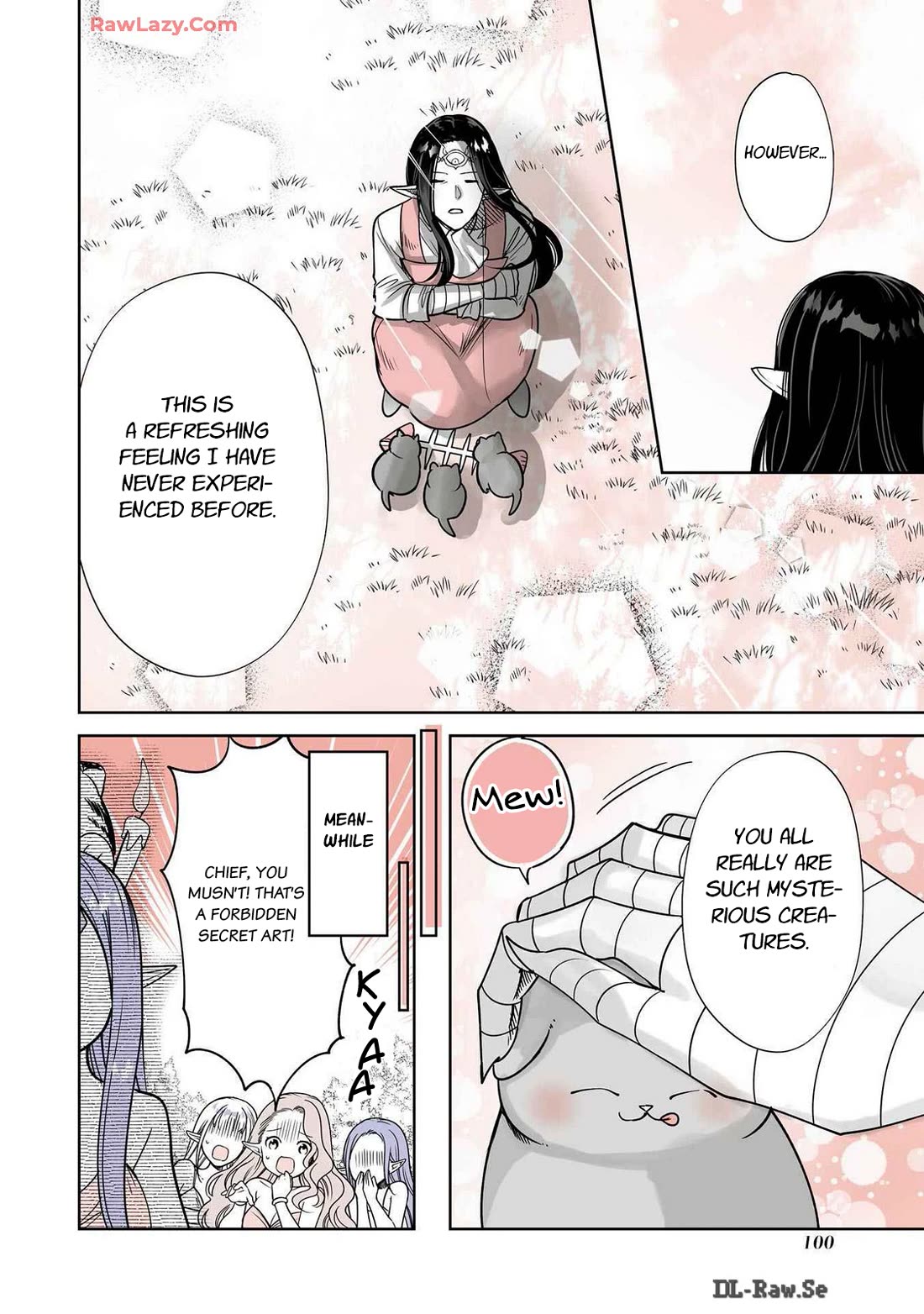 A Story about a Cat Reincarnated in a Different World Where There are no Cats. chapter 41 page 6