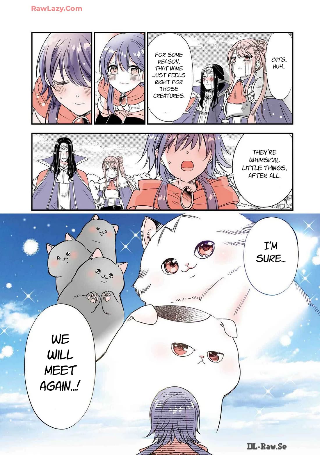 A Story about a Cat Reincarnated in a Different World Where There are no Cats. chapter 43 page 11