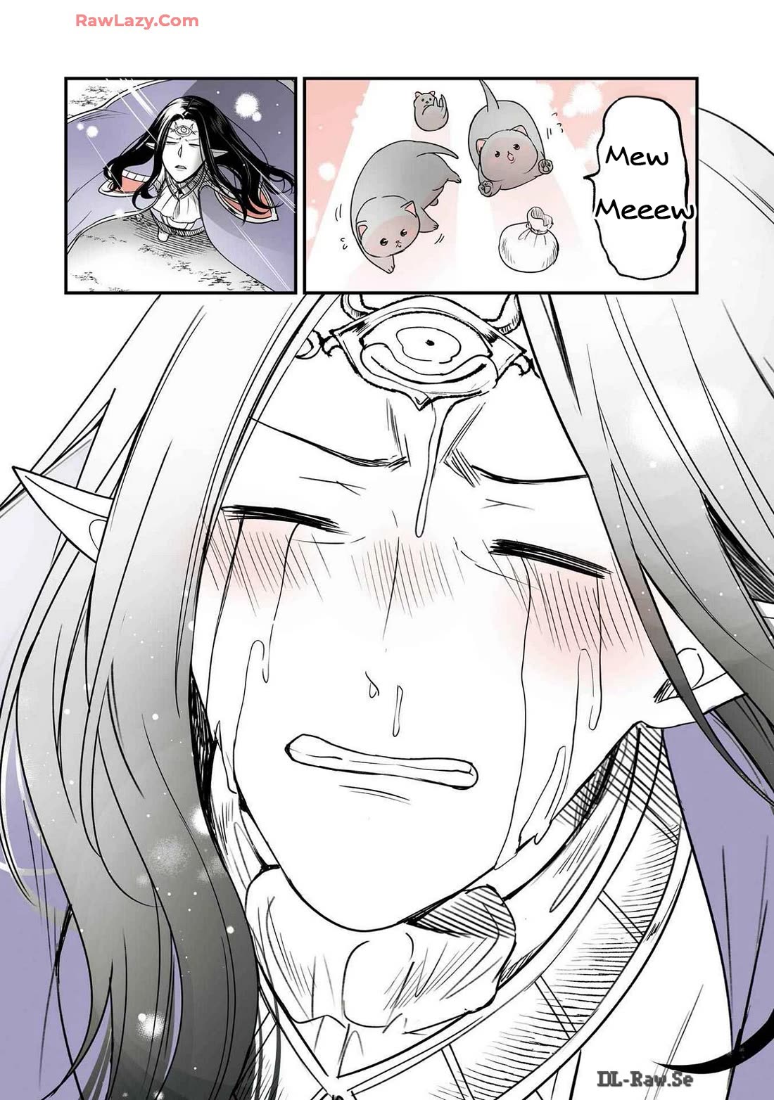 A Story about a Cat Reincarnated in a Different World Where There are no Cats. chapter 43 page 8