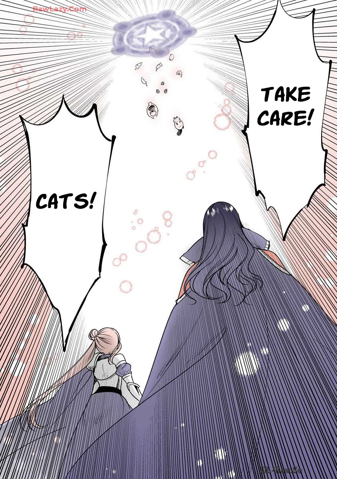 A Story about a Cat Reincarnated in a Different World Where There are no Cats. chapter 43 page 9