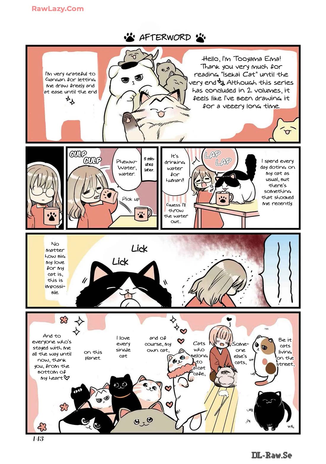 A Story about a Cat Reincarnated in a Different World Where There are no Cats. chapter 44.5 page 1