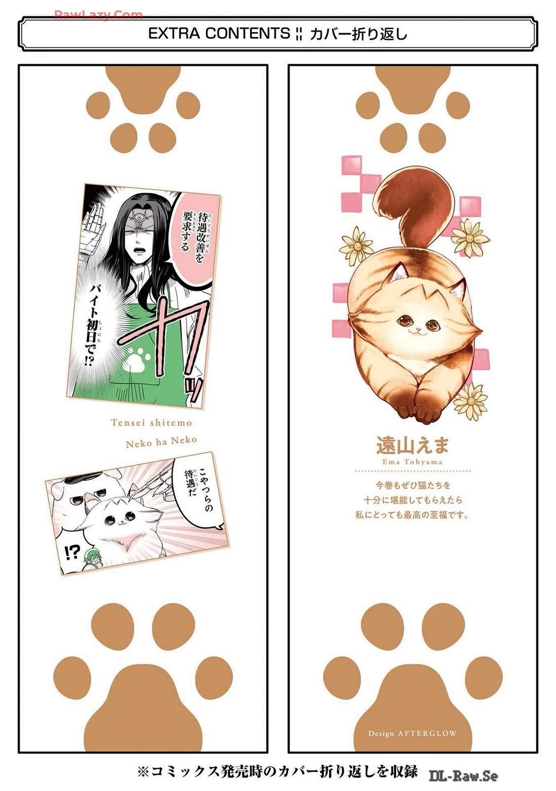 A Story about a Cat Reincarnated in a Different World Where There are no Cats. chapter 44.5 page 3