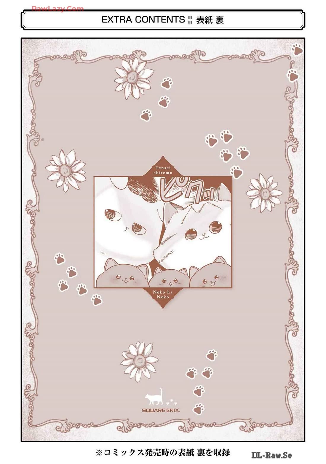 A Story about a Cat Reincarnated in a Different World Where There are no Cats. chapter 44.5 page 5