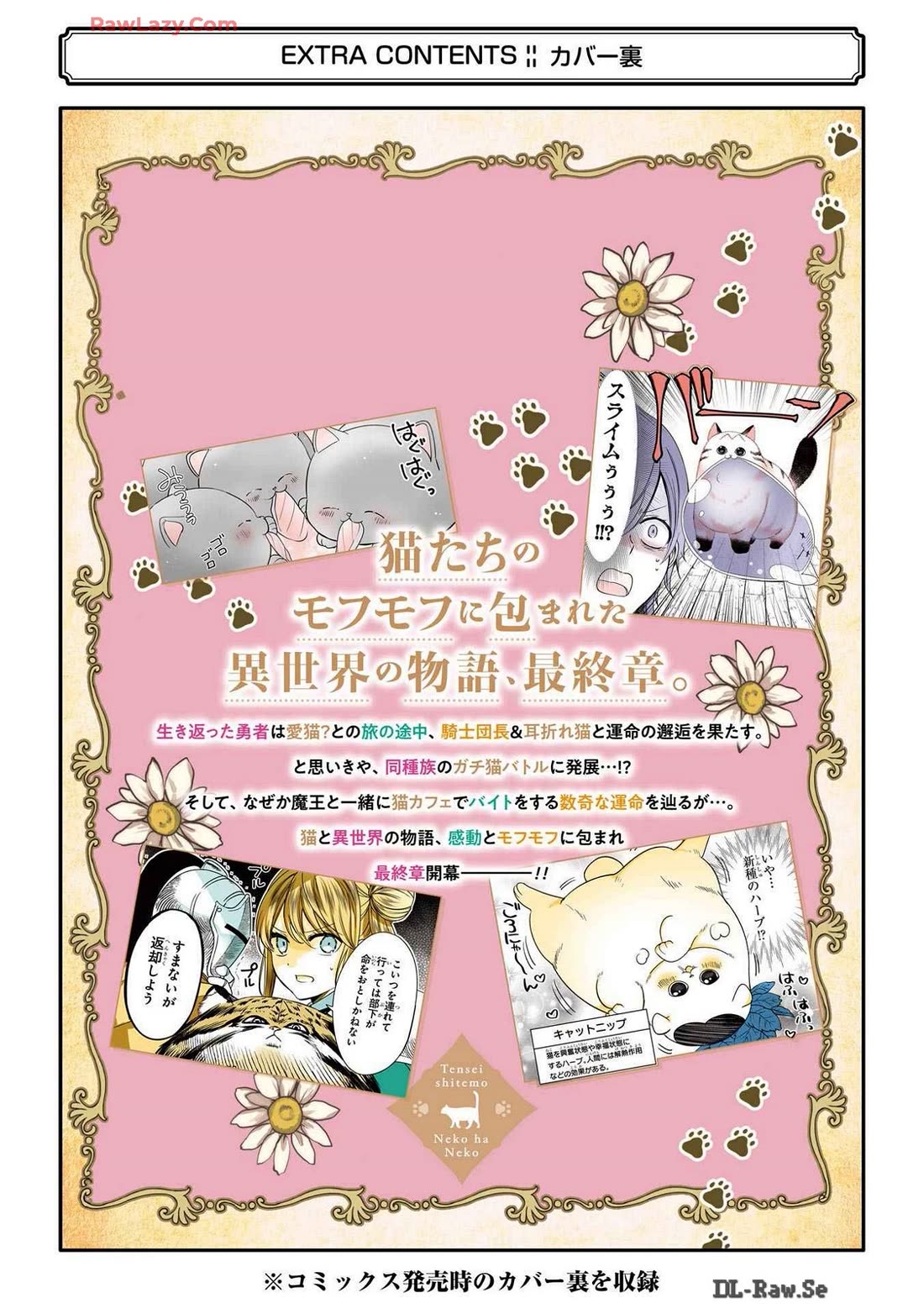 A Story about a Cat Reincarnated in a Different World Where There are no Cats. chapter 44.5 page 6