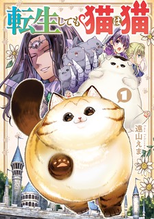 Cover of A Story about a Cat Reincarnated in a Different World Where There are no Cats.