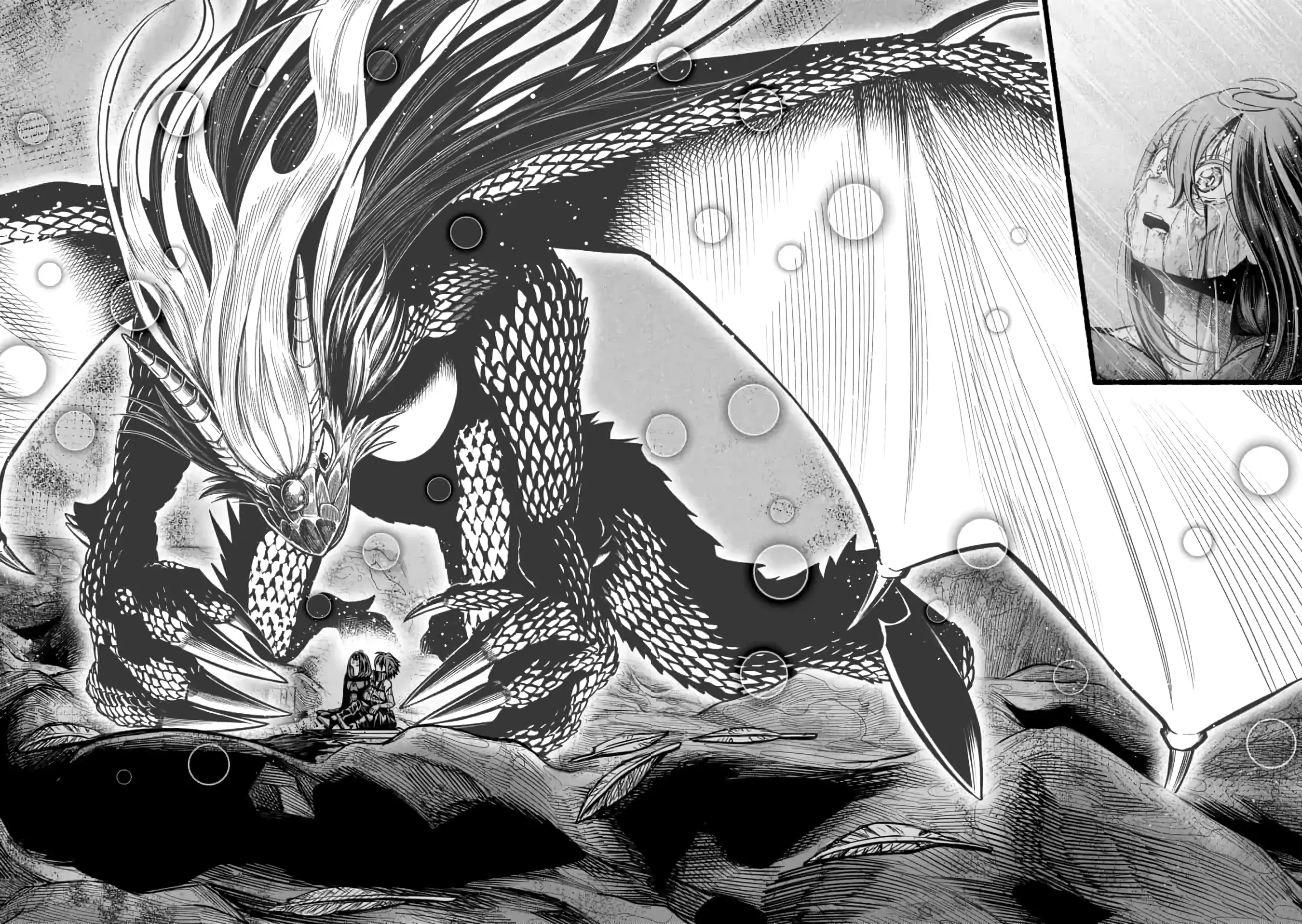 A story about a Dragon and the Rising of an Adventurer chapter 15 page 25