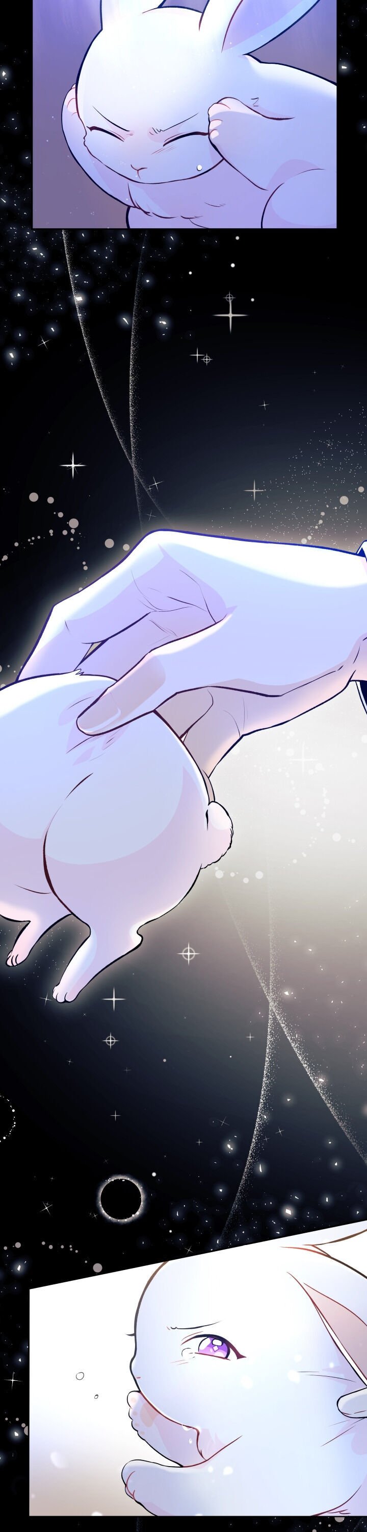 A Symbiotic Relationship Between A Rabbit And A Black Panther chapter 1 page 11