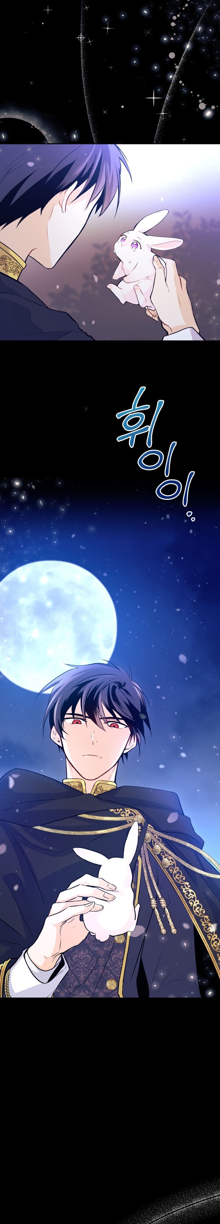 A Symbiotic Relationship Between A Rabbit And A Black Panther chapter 1 page 12