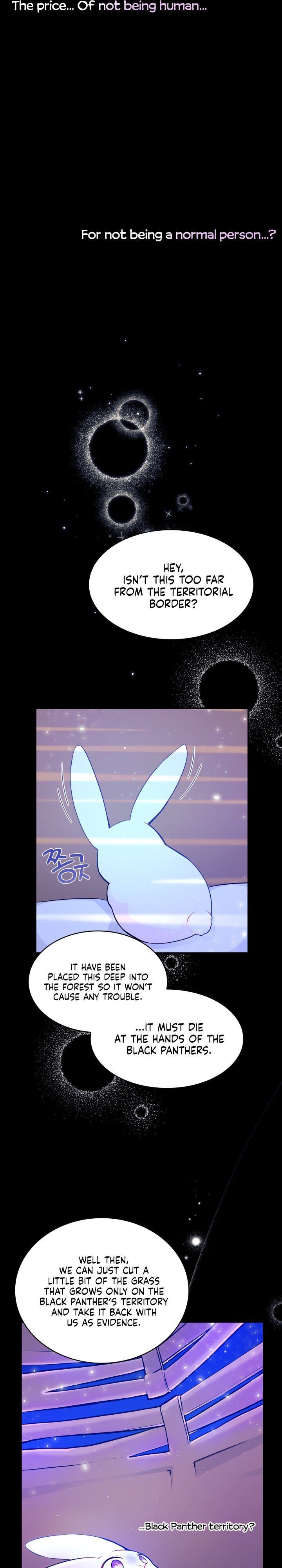 A Symbiotic Relationship Between A Rabbit And A Black Panther chapter 1 page 6