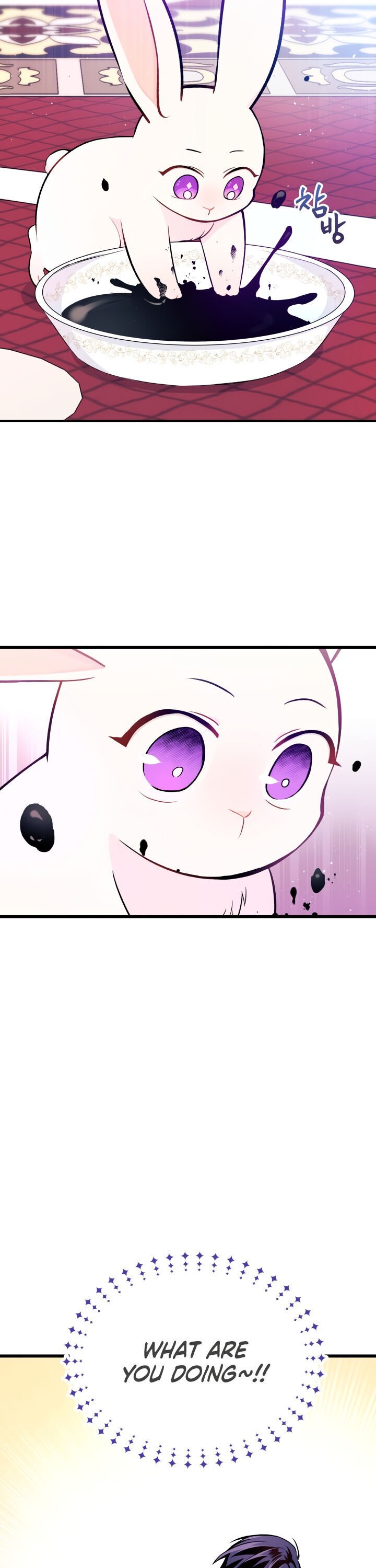 A Symbiotic Relationship Between A Rabbit And A Black Panther chapter 10 page 13