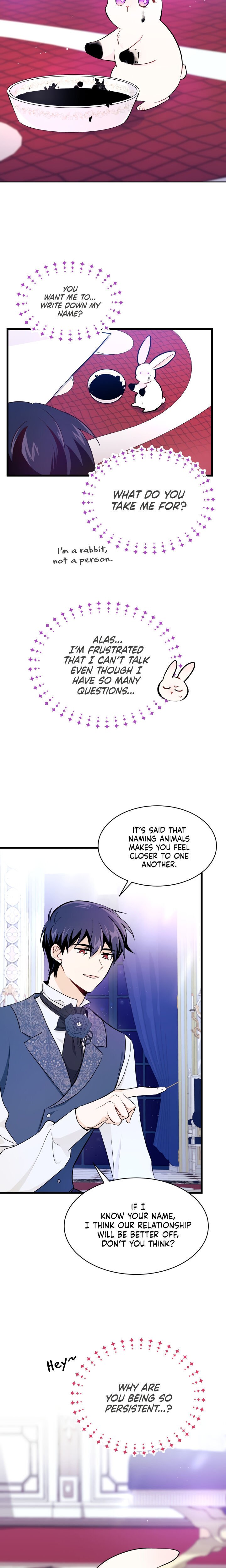 A Symbiotic Relationship Between A Rabbit And A Black Panther chapter 10 page 15