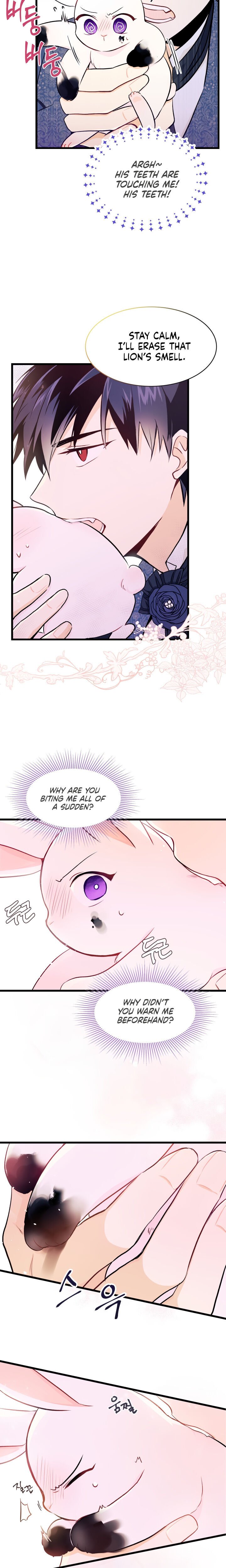 A Symbiotic Relationship Between A Rabbit And A Black Panther chapter 10 page 21