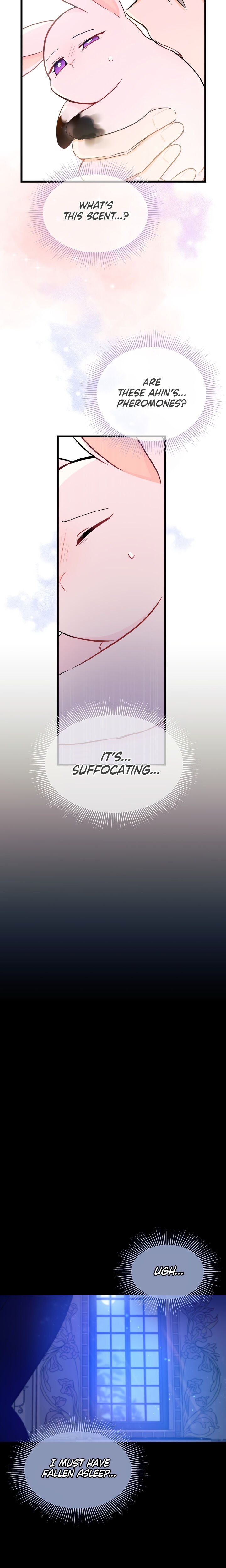 A Symbiotic Relationship Between A Rabbit And A Black Panther chapter 10 page 24