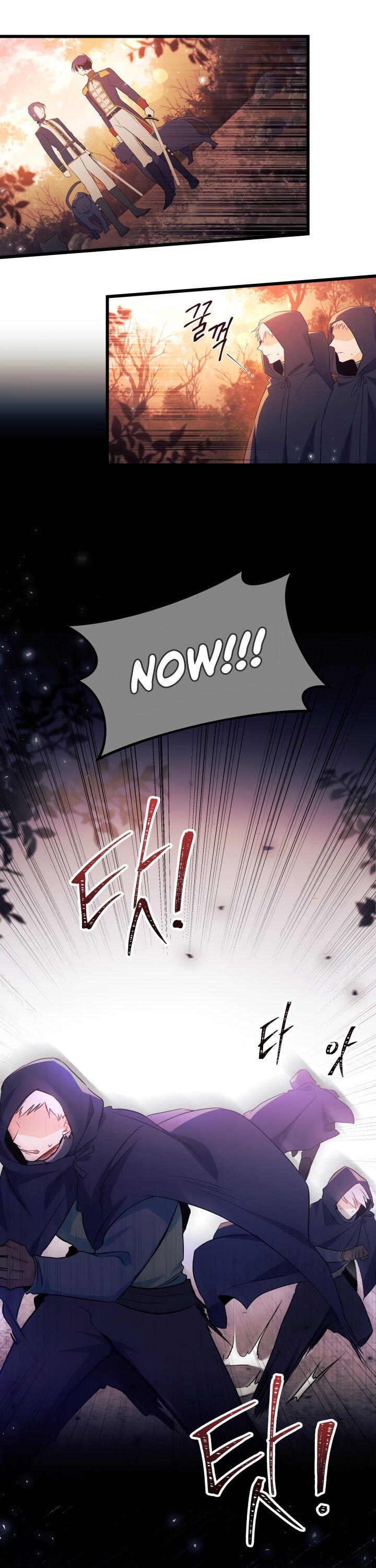 A Symbiotic Relationship Between A Rabbit And A Black Panther chapter 12 page 13