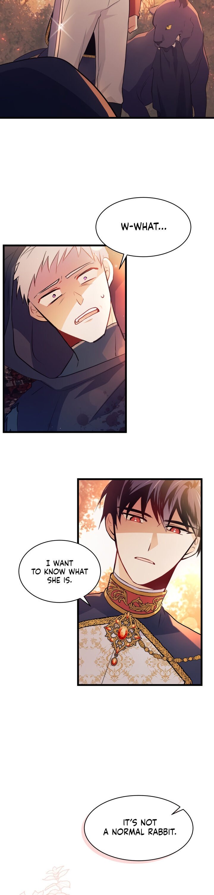 A Symbiotic Relationship Between A Rabbit And A Black Panther chapter 12 page 19