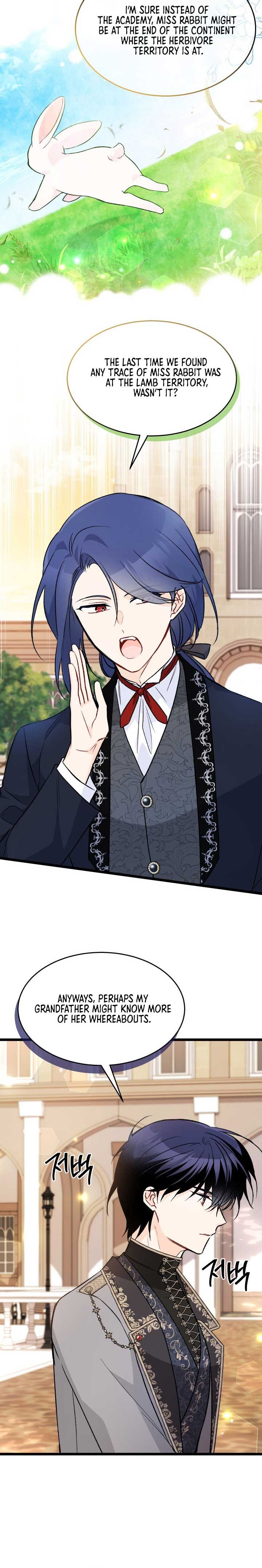 A Symbiotic Relationship Between A Rabbit And A Black Panther chapter 127 page 12