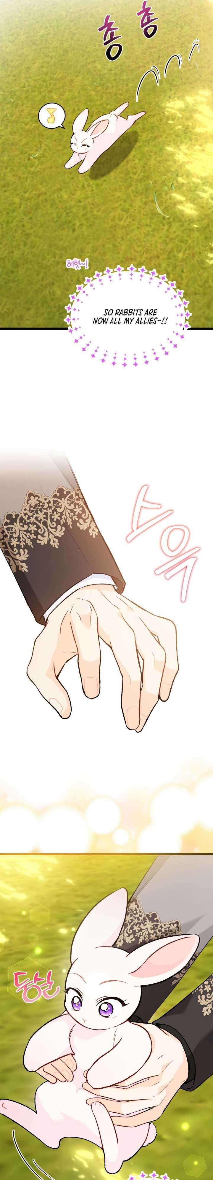 A Symbiotic Relationship Between A Rabbit And A Black Panther chapter 127 page 23