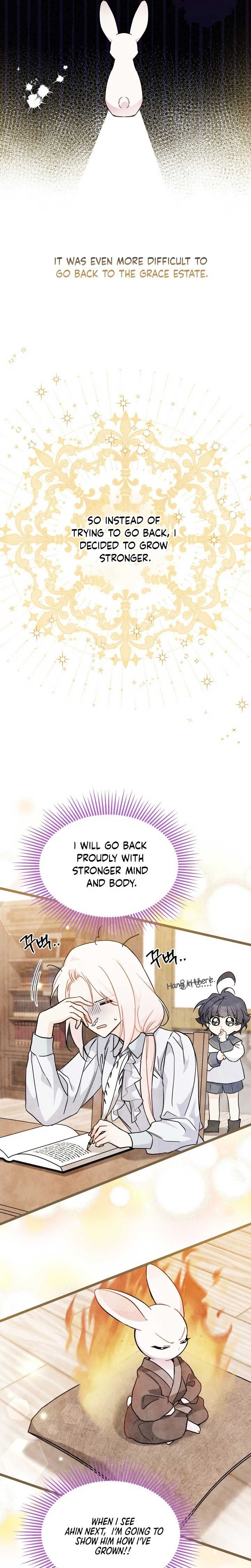 A Symbiotic Relationship Between A Rabbit And A Black Panther chapter 127 page 3