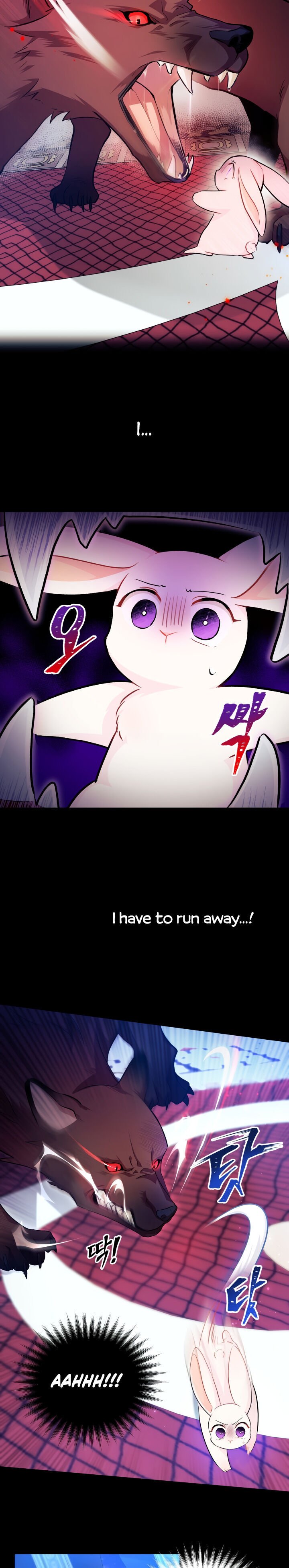 A Symbiotic Relationship Between A Rabbit And A Black Panther chapter 14 page 3