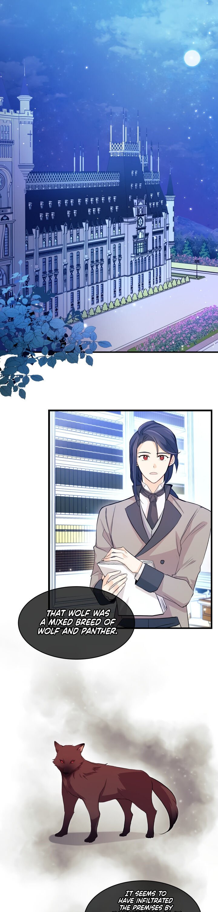 A Symbiotic Relationship Between A Rabbit And A Black Panther chapter 15 page 1