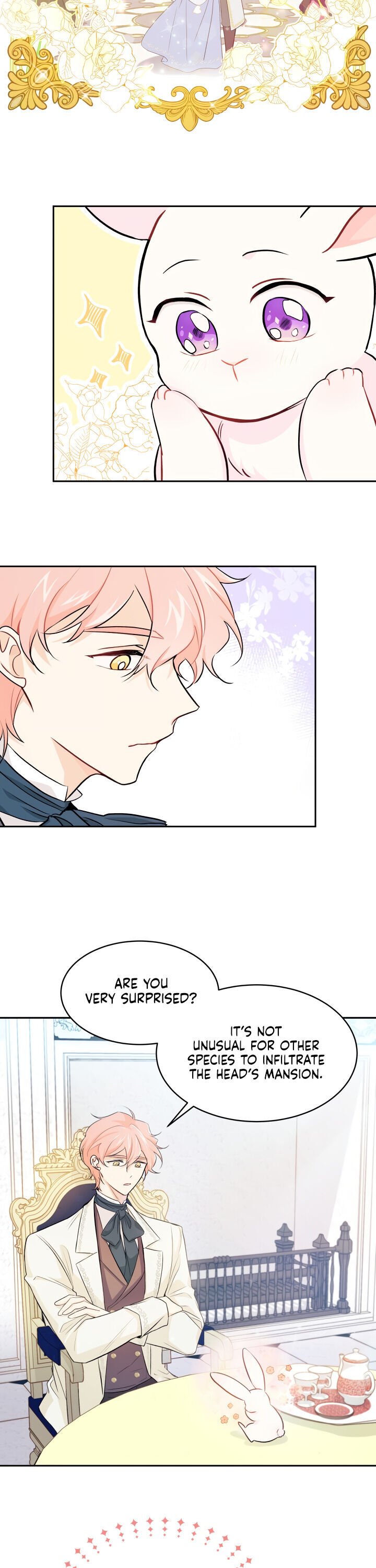 A Symbiotic Relationship Between A Rabbit And A Black Panther chapter 15 page 13