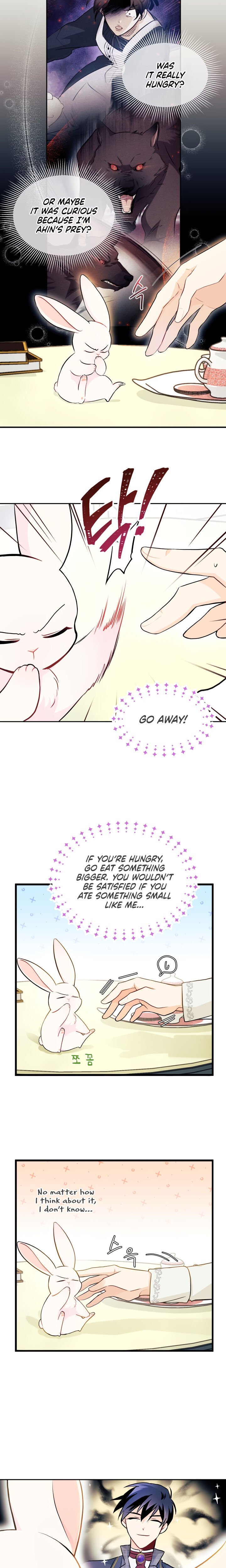 A Symbiotic Relationship Between A Rabbit And A Black Panther chapter 15 page 3