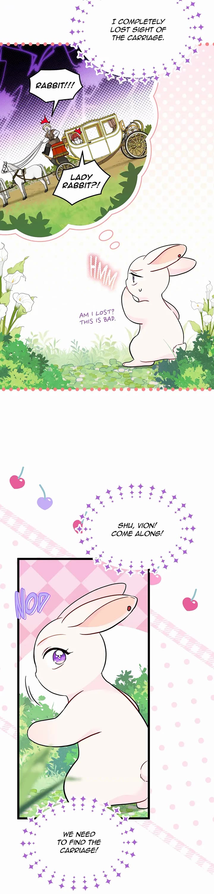 A Symbiotic Relationship Between A Rabbit And A Black Panther chapter 155 page 13