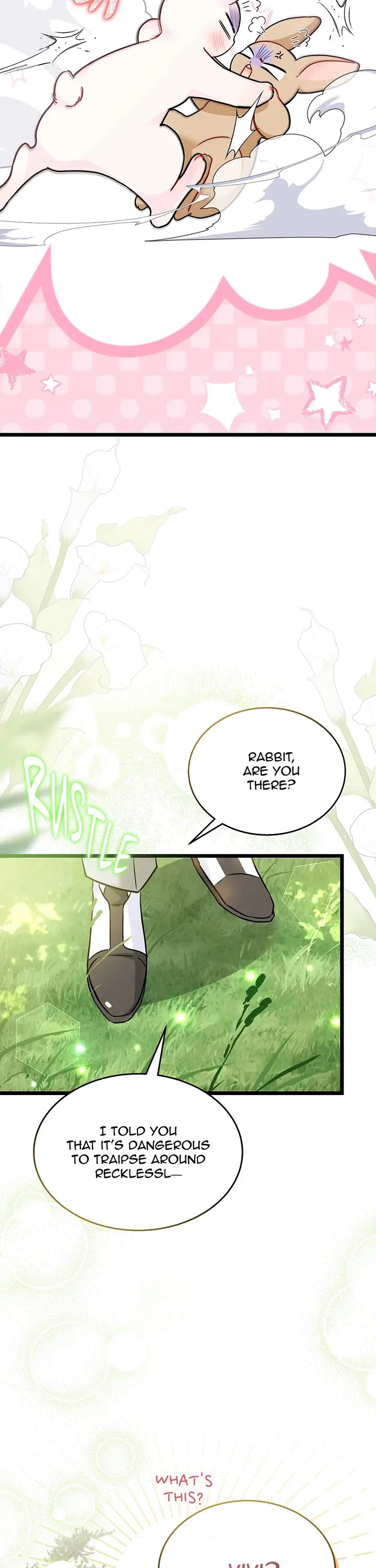 A Symbiotic Relationship Between A Rabbit And A Black Panther chapter 155 page 21