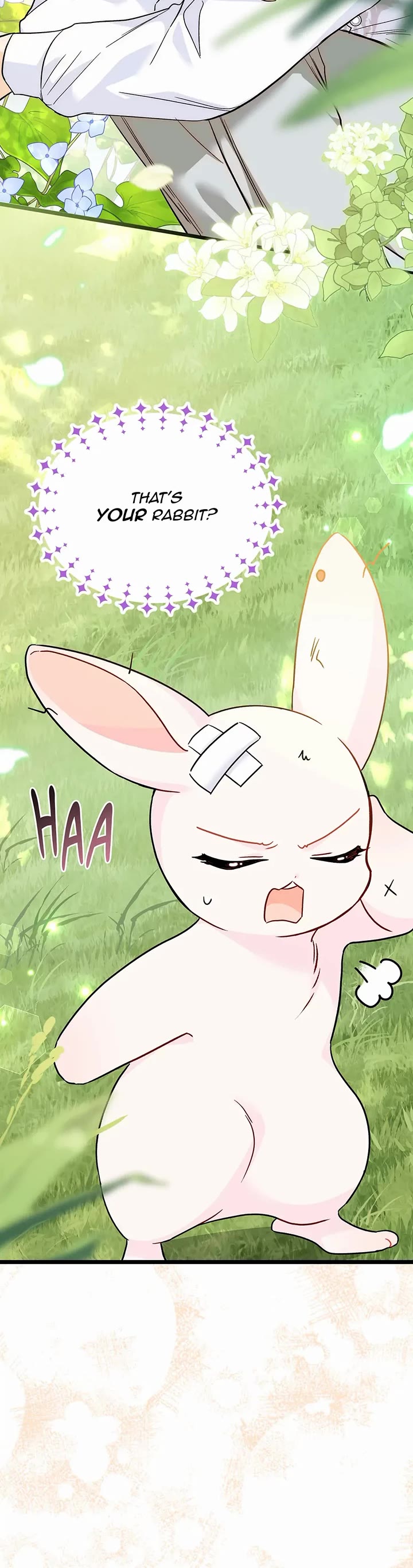 A Symbiotic Relationship Between A Rabbit And A Black Panther chapter 155 page 25