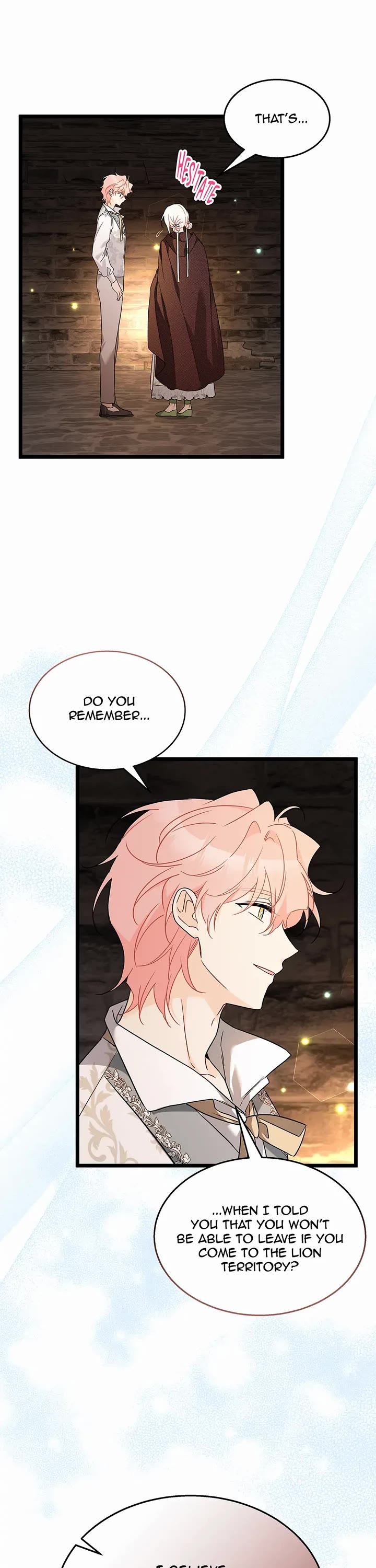 A Symbiotic Relationship Between A Rabbit And A Black Panther chapter 157 page 11