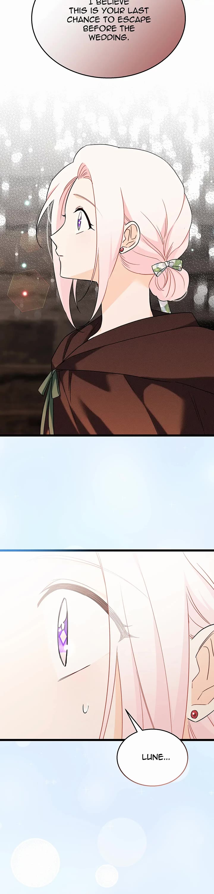 A Symbiotic Relationship Between A Rabbit And A Black Panther chapter 157 page 12