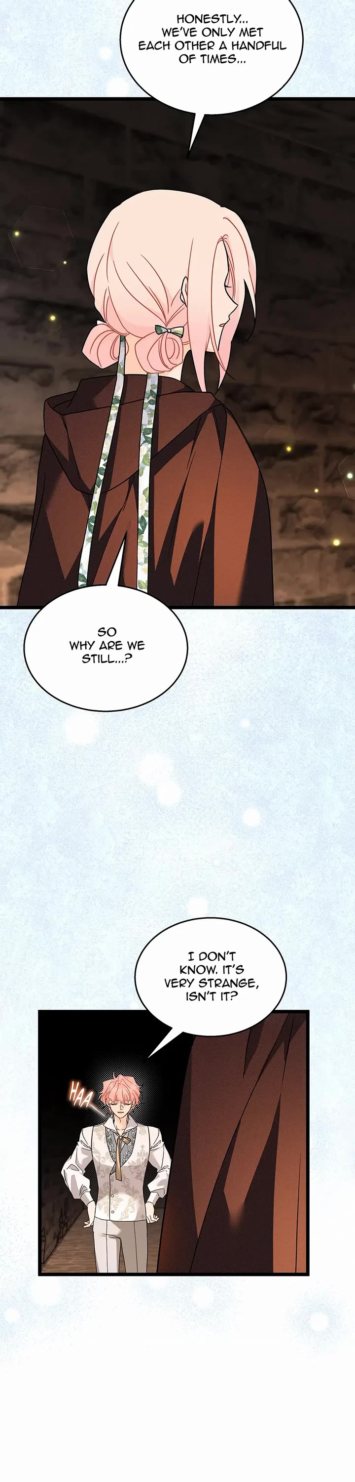 A Symbiotic Relationship Between A Rabbit And A Black Panther chapter 157 page 17