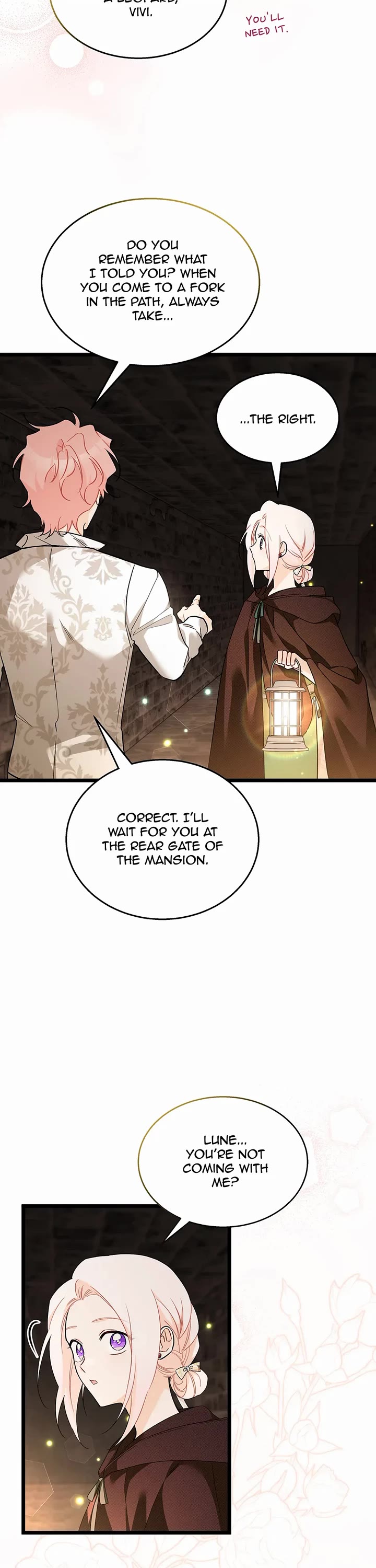 A Symbiotic Relationship Between A Rabbit And A Black Panther chapter 157 page 8