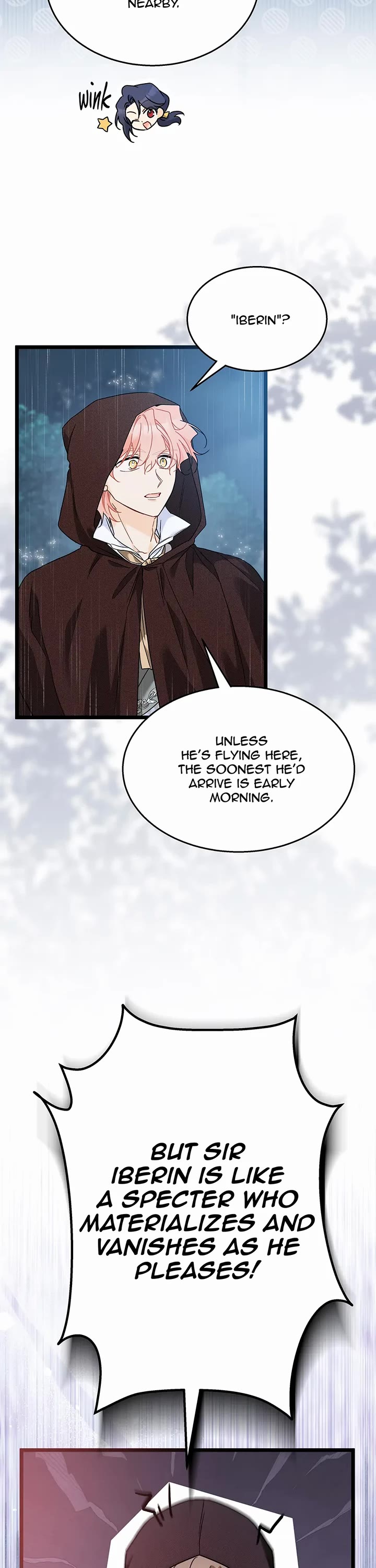 A Symbiotic Relationship Between A Rabbit And A Black Panther chapter 158 page 3