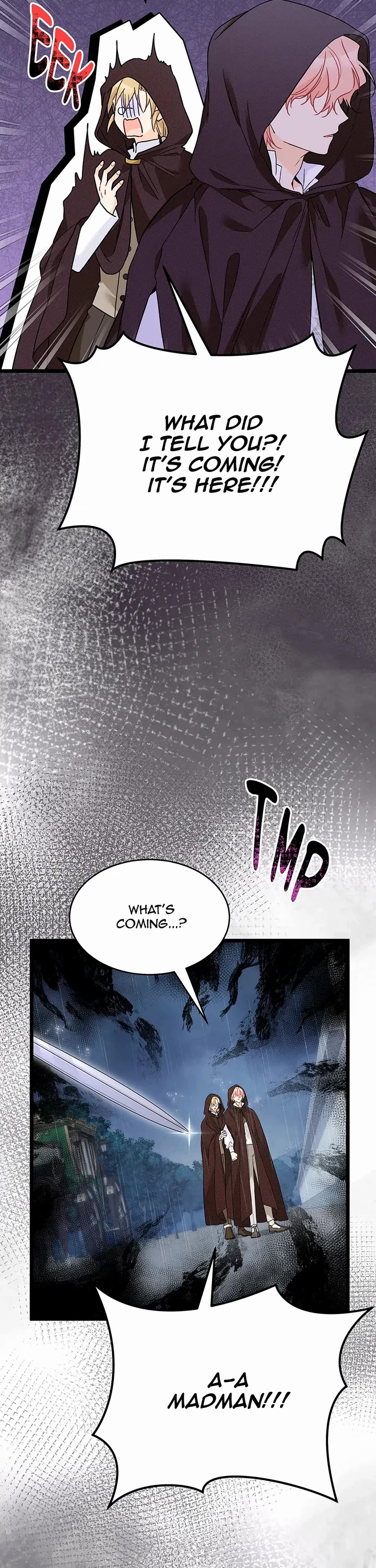 A Symbiotic Relationship Between A Rabbit And A Black Panther chapter 158 page 8