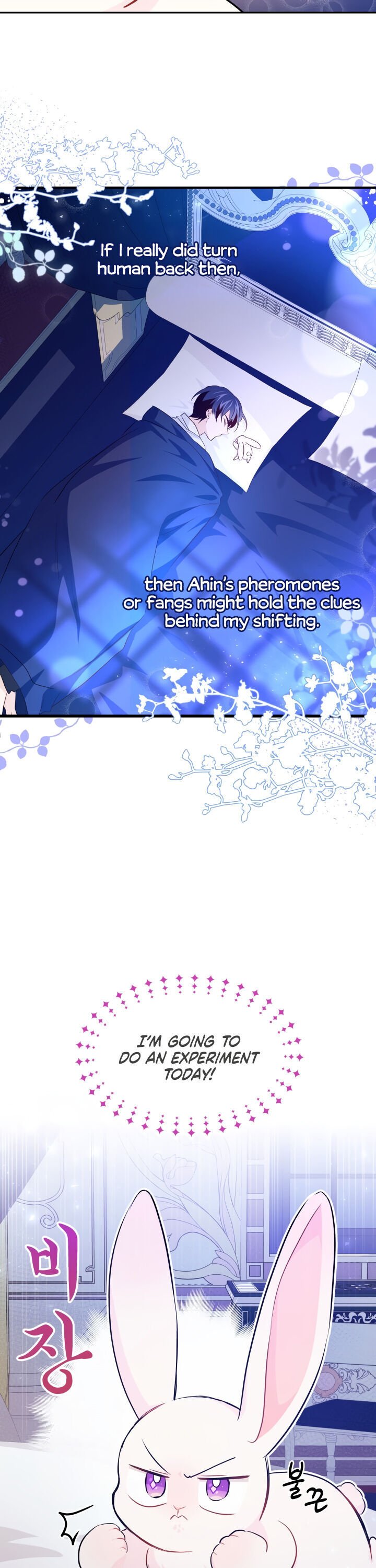 A Symbiotic Relationship Between A Rabbit And A Black Panther chapter 16 page 13