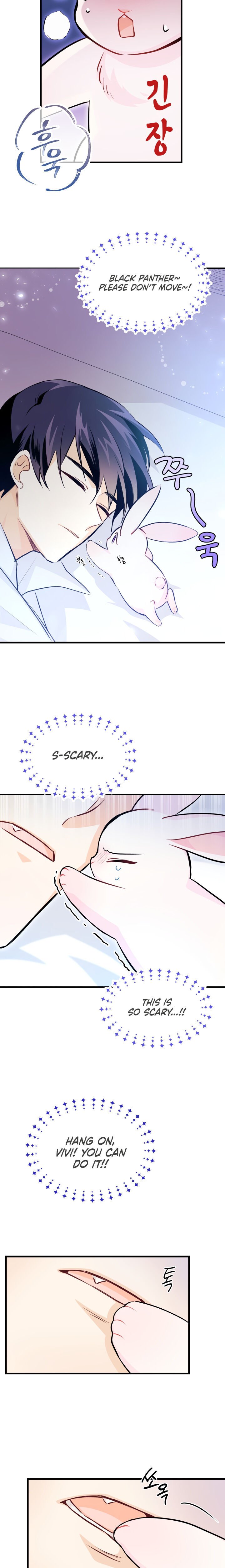 A Symbiotic Relationship Between A Rabbit And A Black Panther chapter 16 page 15