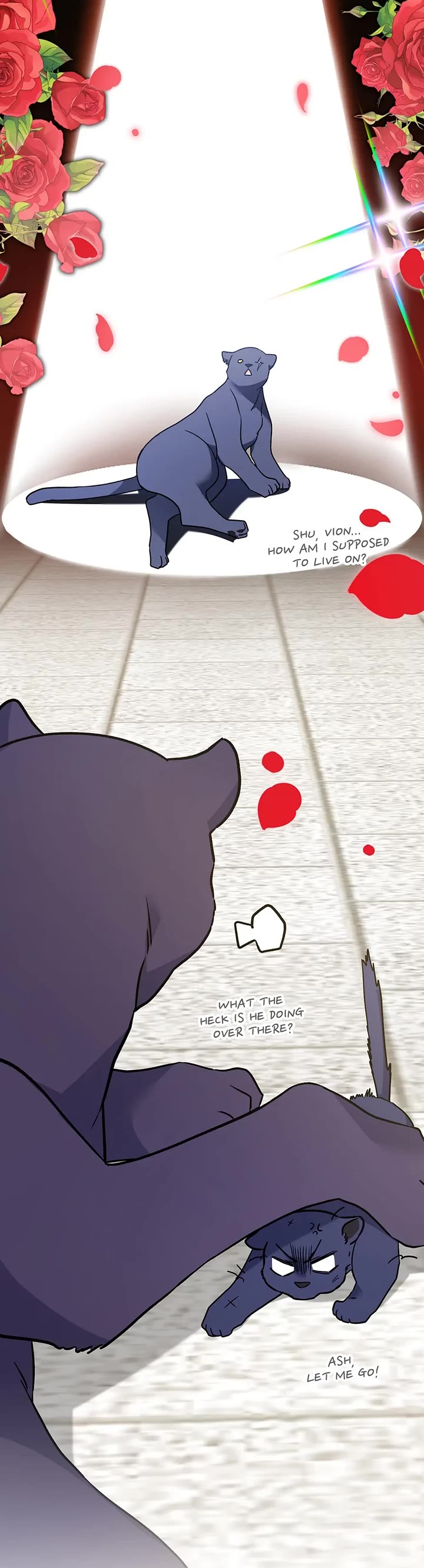 A Symbiotic Relationship Between A Rabbit And A Black Panther chapter 160 page 20