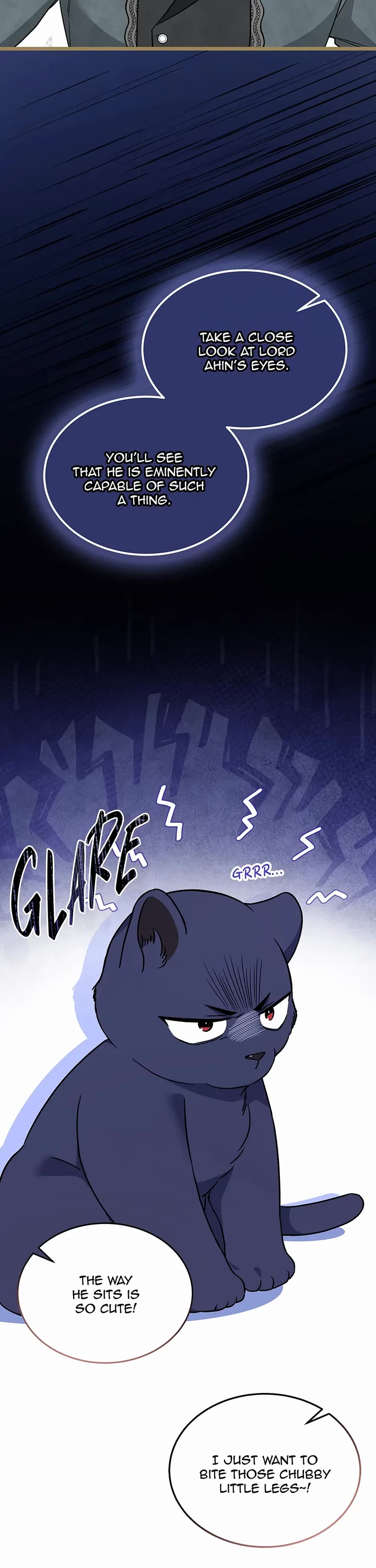 A Symbiotic Relationship Between A Rabbit And A Black Panther chapter 163 page 13