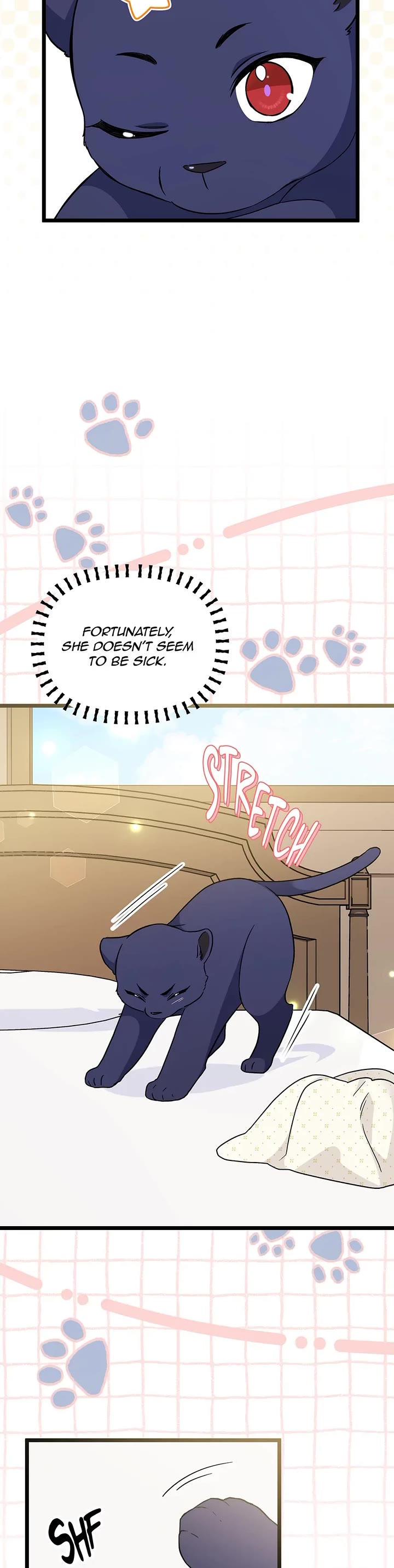 A Symbiotic Relationship Between A Rabbit And A Black Panther chapter 164 page 19