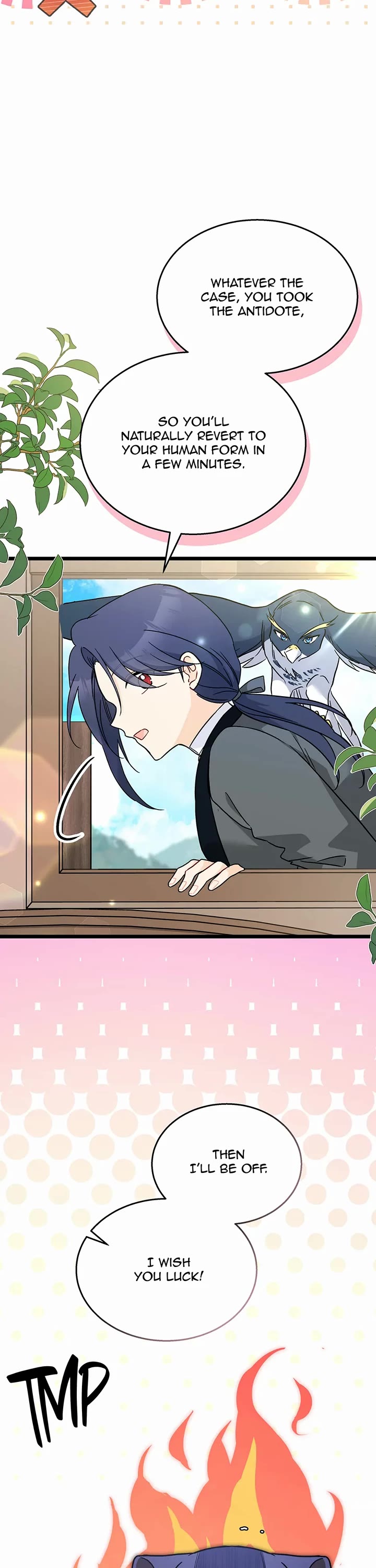 A Symbiotic Relationship Between A Rabbit And A Black Panther chapter 165 page 7