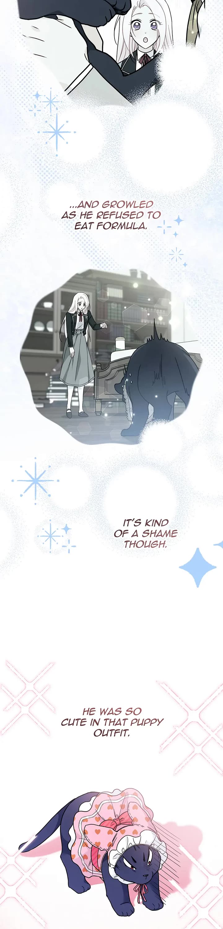 A Symbiotic Relationship Between A Rabbit And A Black Panther chapter 166 page 3