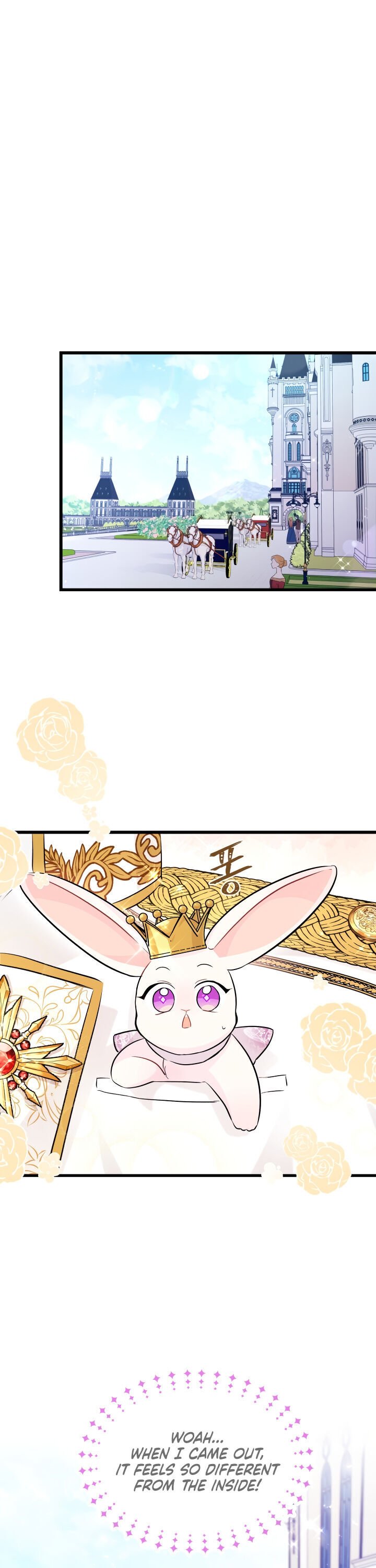 A Symbiotic Relationship Between A Rabbit And A Black Panther chapter 17 page 17