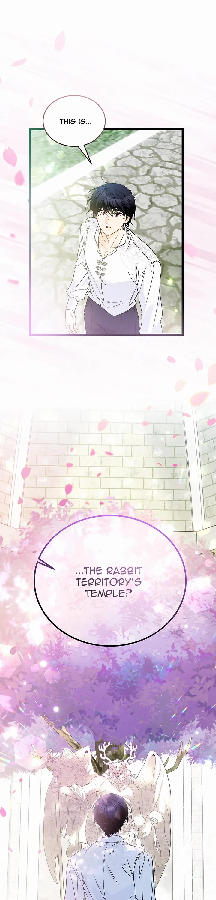 A Symbiotic Relationship Between A Rabbit And A Black Panther chapter 171 page 3