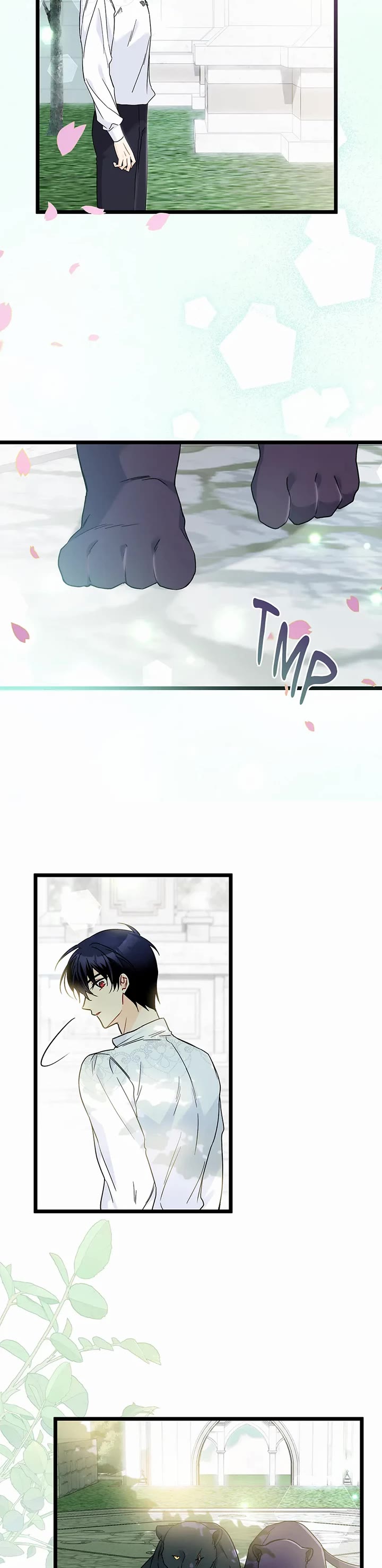 A Symbiotic Relationship Between A Rabbit And A Black Panther chapter 171 page 5