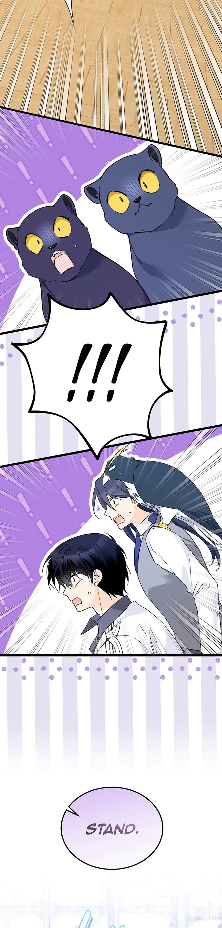 A Symbiotic Relationship Between A Rabbit And A Black Panther chapter 177 page 26