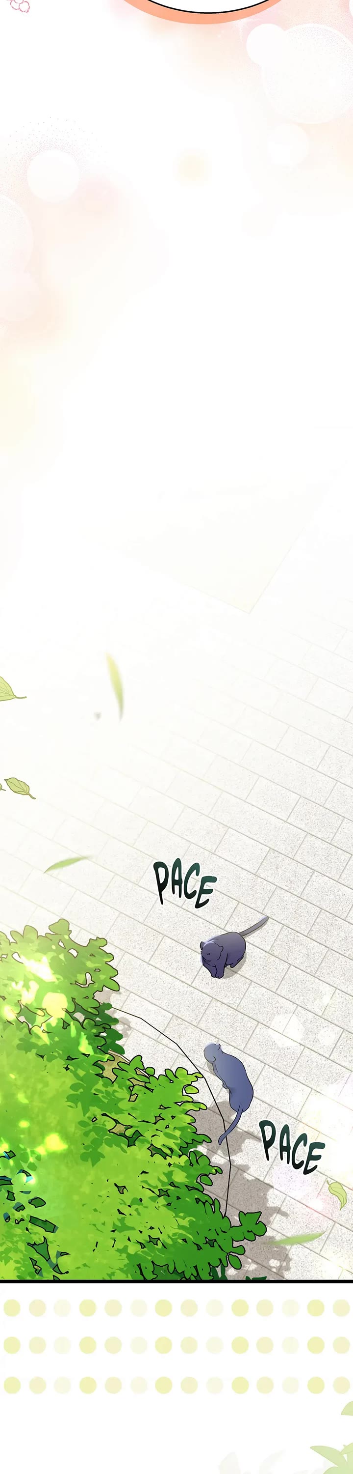 A Symbiotic Relationship Between A Rabbit And A Black Panther chapter 179 page 31