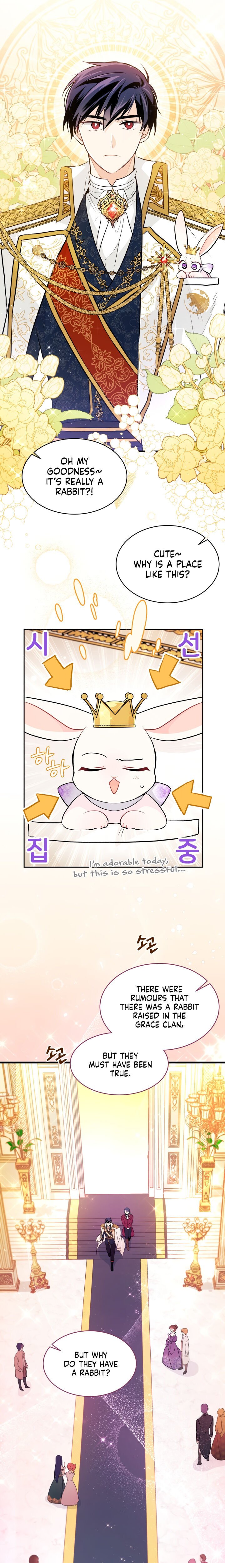 A Symbiotic Relationship Between A Rabbit And A Black Panther chapter 18 page 3