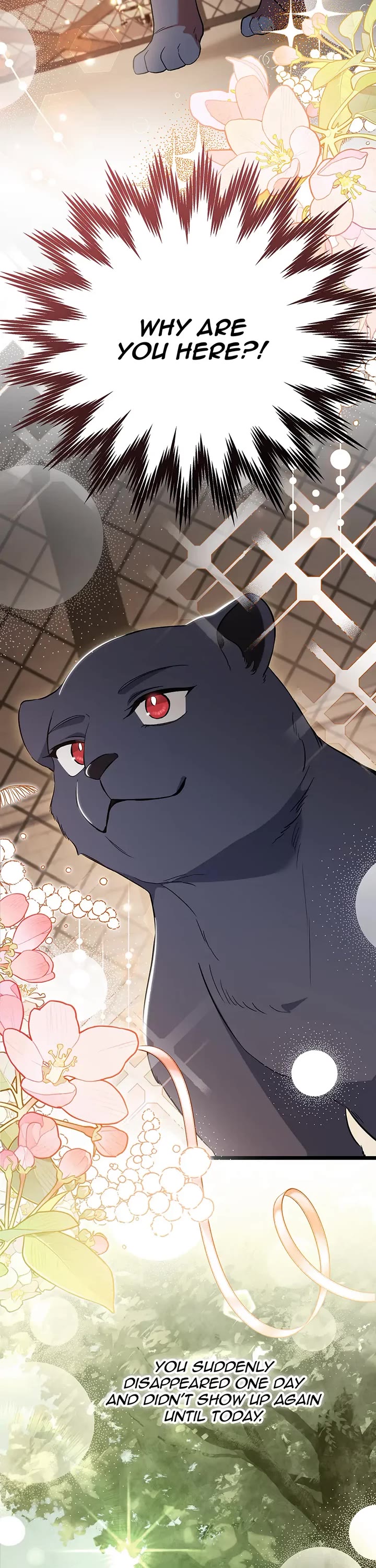 A Symbiotic Relationship Between A Rabbit And A Black Panther chapter 186 page 31