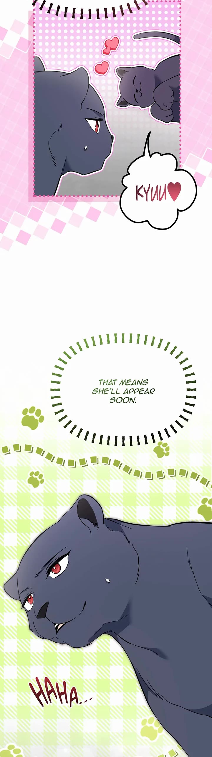 A Symbiotic Relationship Between A Rabbit And A Black Panther chapter 187 page 14